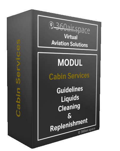 Aircraft cabin services workflow visualization module